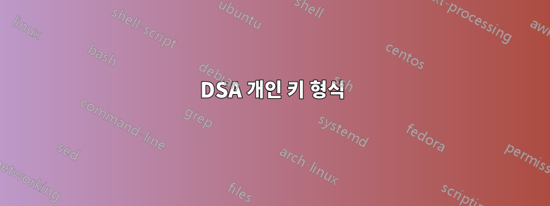 DSA 개인 키 형식