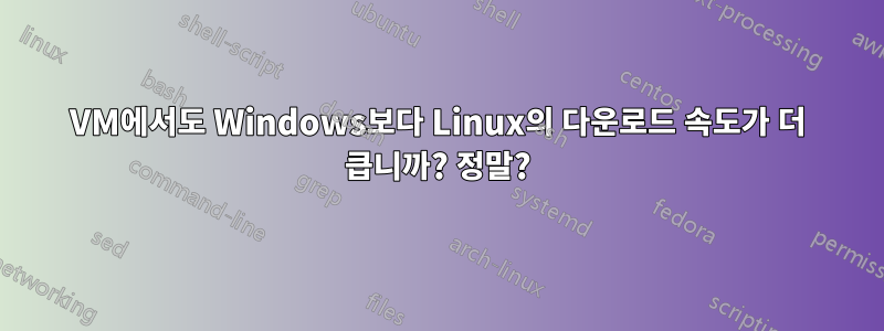 VM에서도 Windows보다 Linux의 다운로드 속도가 더 큽니까? 정말?