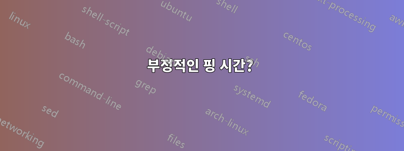 부정적인 핑 시간?