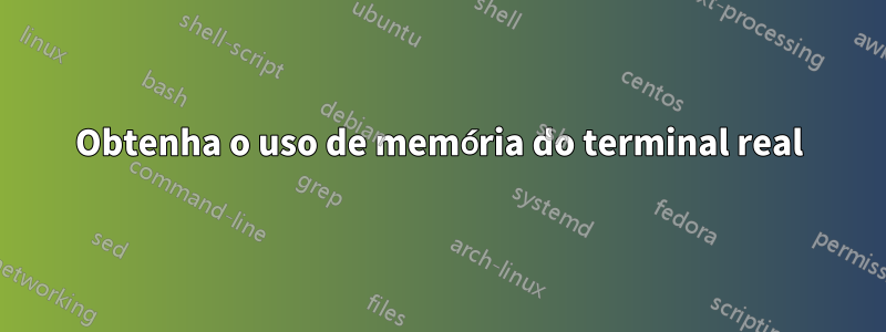 Obtenha o uso de memória do terminal real