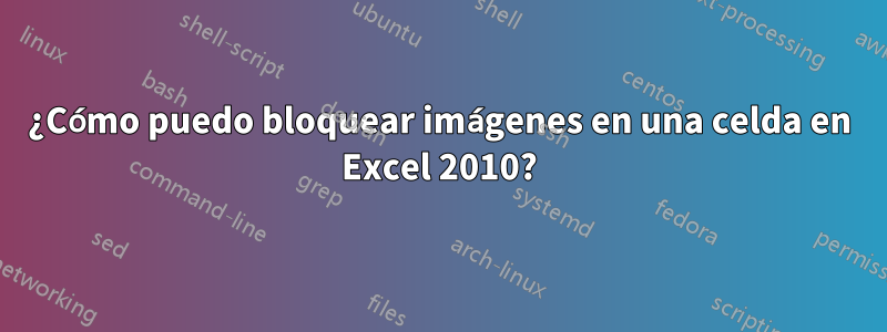 ¿Cómo puedo bloquear imágenes en una celda en Excel 2010?