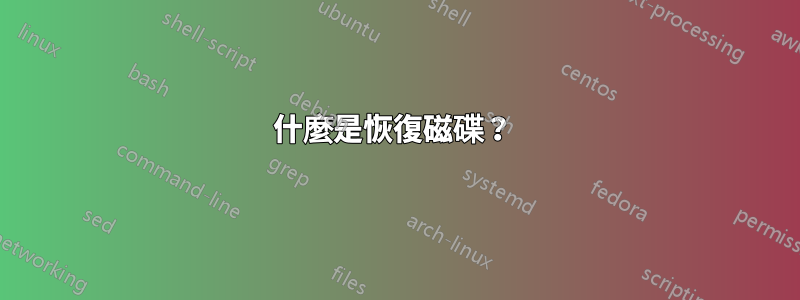 什麼是恢復磁碟？ 