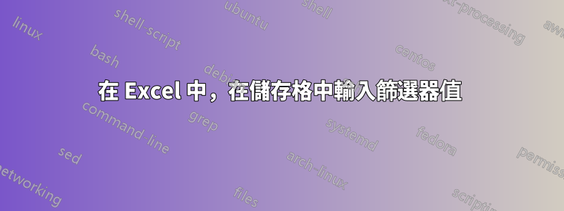 在 Excel 中，在儲存格中輸入篩選器值