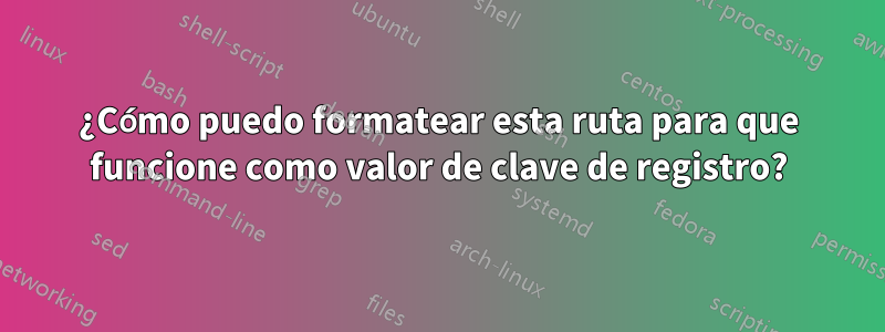 ¿Cómo puedo formatear esta ruta para que funcione como valor de clave de registro?