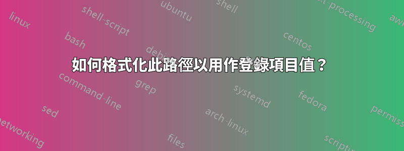 如何格式化此路徑以用作登錄項目值？