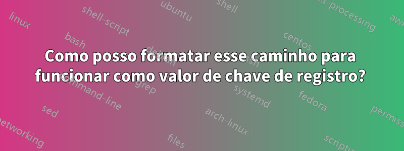 Como posso formatar esse caminho para funcionar como valor de chave de registro?