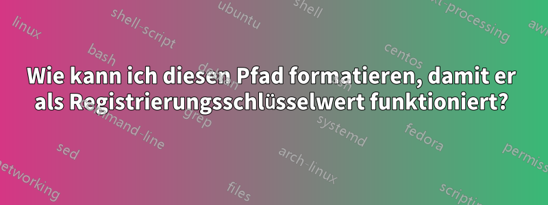 Wie kann ich diesen Pfad formatieren, damit er als Registrierungsschlüsselwert funktioniert?