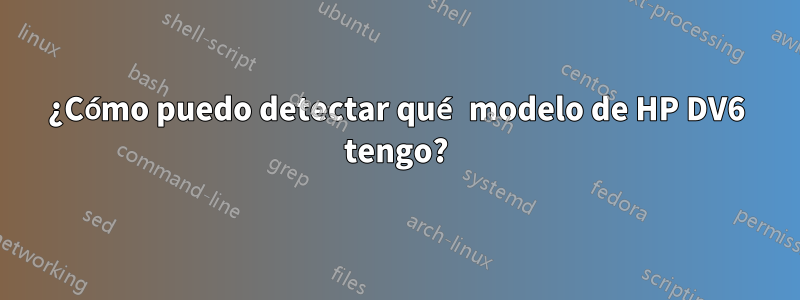 ¿Cómo puedo detectar qué modelo de HP DV6 tengo?