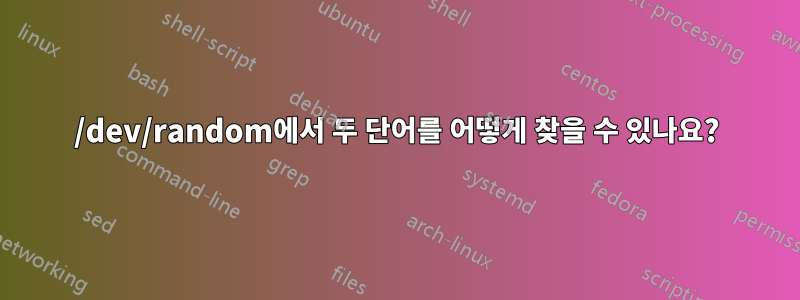 /dev/random에서 두 단어를 어떻게 찾을 수 있나요?