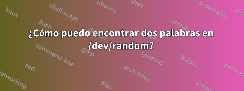 ¿Cómo puedo encontrar dos palabras en /dev/random?