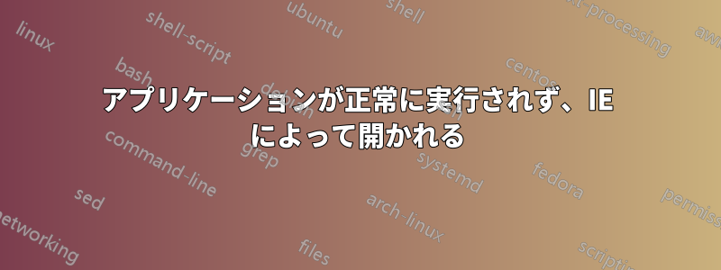 アプリケーションが正常に実行されず、IE によって開かれる