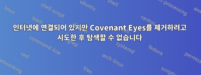 인터넷에 연결되어 있지만 Covenant Eyes를 제거하려고 시도한 후 탐색할 수 없습니다