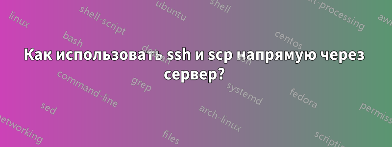 Как использовать ssh и scp напрямую через сервер?