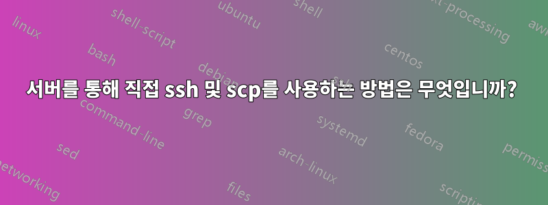 서버를 통해 직접 ssh 및 scp를 사용하는 방법은 무엇입니까?