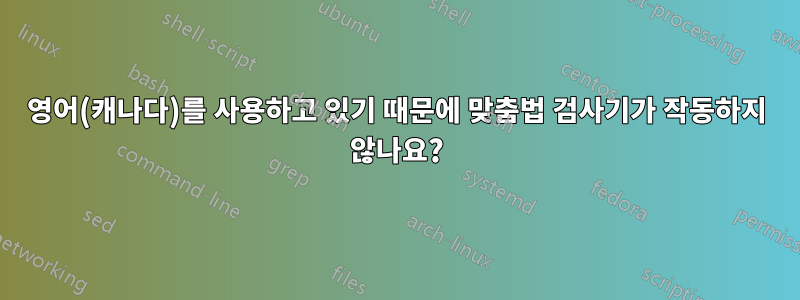 영어(캐나다)를 사용하고 있기 때문에 맞춤법 검사기가 작동하지 않나요?