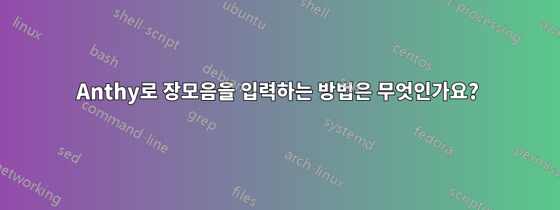 Anthy로 장모음을 입력하는 방법은 무엇인가요?