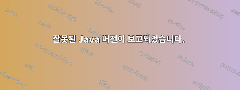 잘못된 Java 버전이 보고되었습니다.