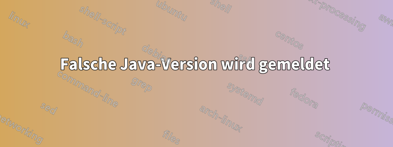 Falsche Java-Version wird gemeldet