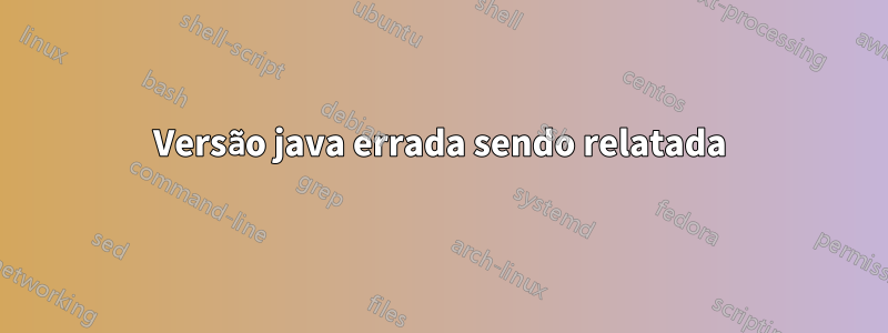 Versão java errada sendo relatada