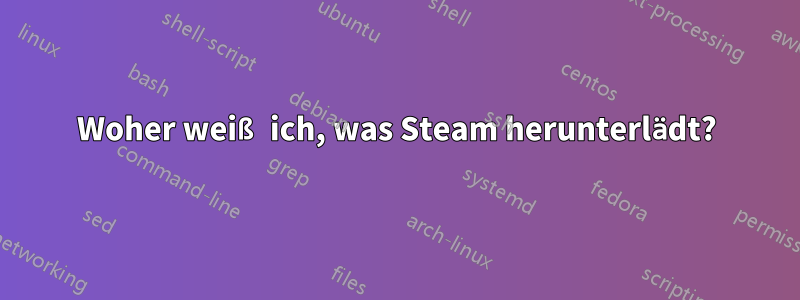 Woher weiß ich, was Steam herunterlädt?