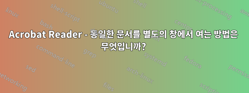 Acrobat Reader - 동일한 문서를 별도의 창에서 여는 방법은 무엇입니까?