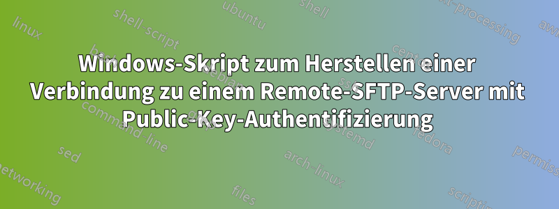 Windows-Skript zum Herstellen einer Verbindung zu einem Remote-SFTP-Server mit Public-Key-Authentifizierung