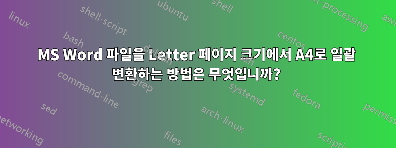 MS Word 파일을 Letter 페이지 크기에서 A4로 일괄 변환하는 방법은 무엇입니까?