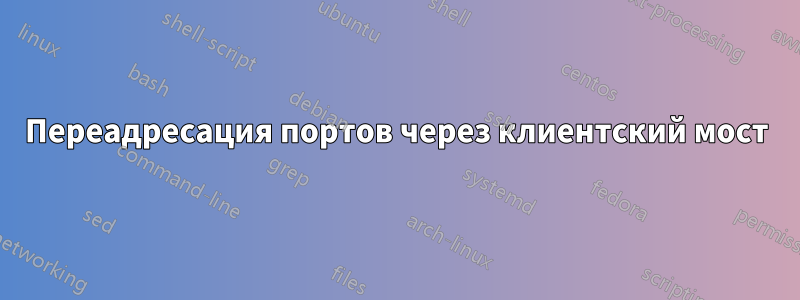 Переадресация портов через клиентский мост