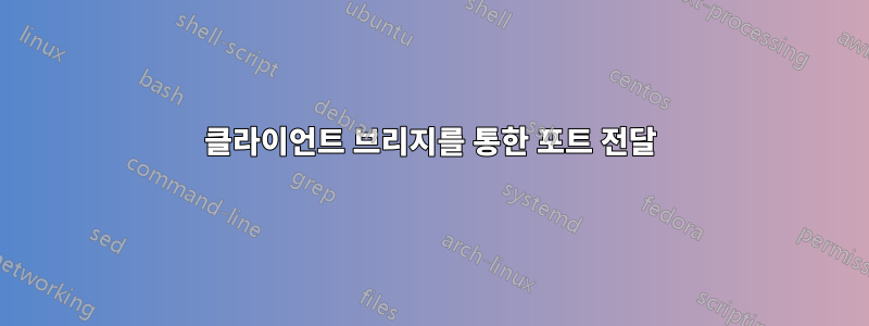 클라이언트 브리지를 통한 포트 전달