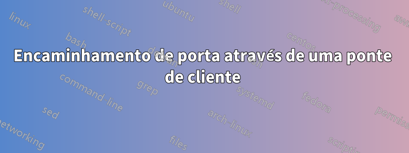 Encaminhamento de porta através de uma ponte de cliente