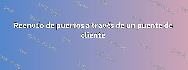 Reenvío de puertos a través de un puente de cliente