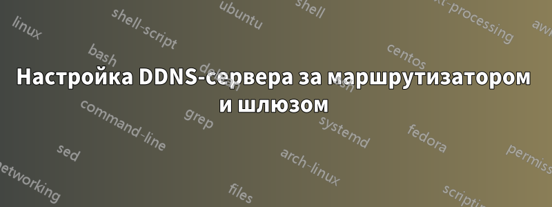 Настройка DDNS-сервера за маршрутизатором и шлюзом