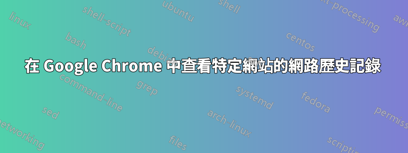 在 Google Chrome 中查看特定網站的網路歷史記錄