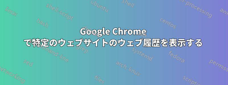 Google Chrome で特定のウェブサイトのウェブ履歴を表示する