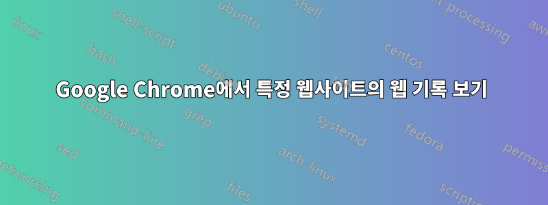 Google Chrome에서 특정 웹사이트의 웹 기록 보기