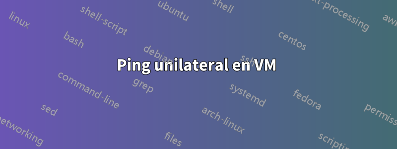 Ping unilateral en VM