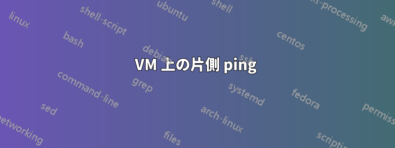 VM 上の片側 ping