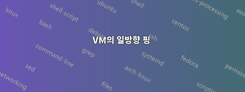 VM의 일방향 핑