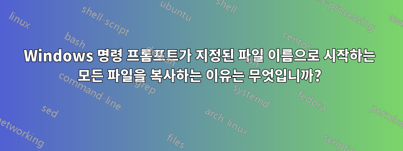 Windows 명령 프롬프트가 지정된 파일 이름으로 시작하는 모든 파일을 복사하는 이유는 무엇입니까?