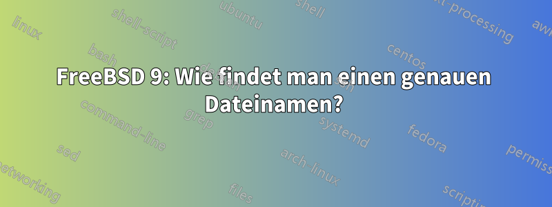 FreeBSD 9: Wie findet man einen genauen Dateinamen?