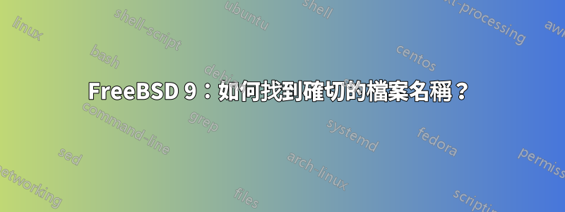 FreeBSD 9：如何找到確切的檔案名稱？