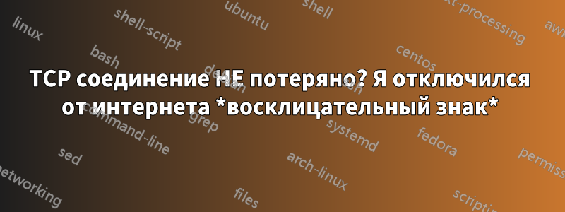 TCP соединение НЕ потеряно? Я отключился от интернета *восклицательный знак*