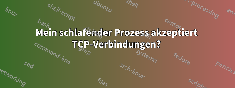 Mein schlafender Prozess akzeptiert TCP-Verbindungen?