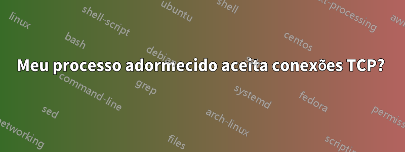 Meu processo adormecido aceita conexões TCP?