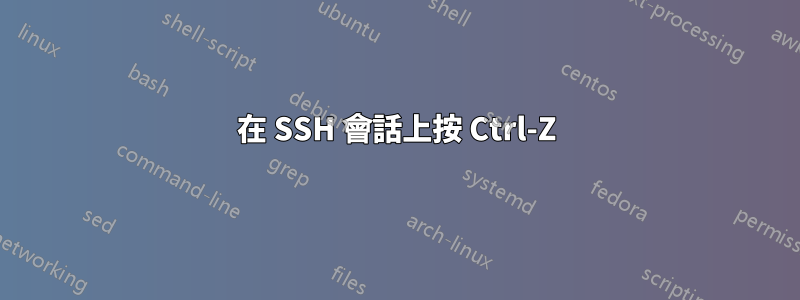 在 SSH 會話上按 Ctrl-Z