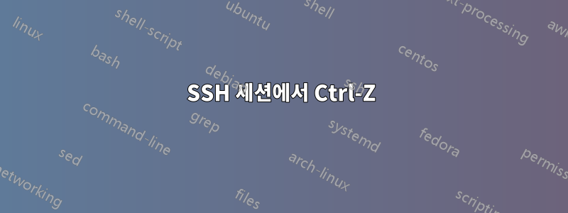 SSH 세션에서 Ctrl-Z