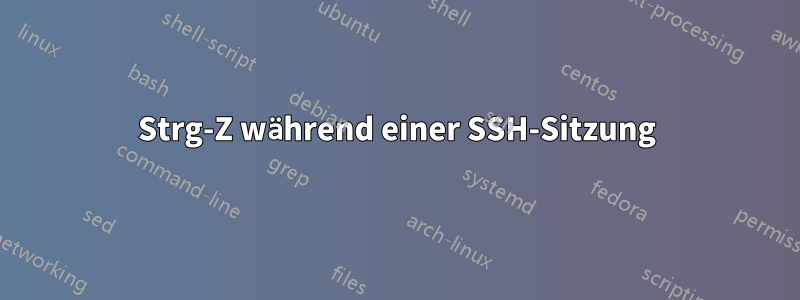 Strg-Z während einer SSH-Sitzung