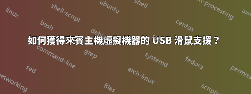 如何獲得來賓主機虛擬機器的 USB 滑鼠支援？