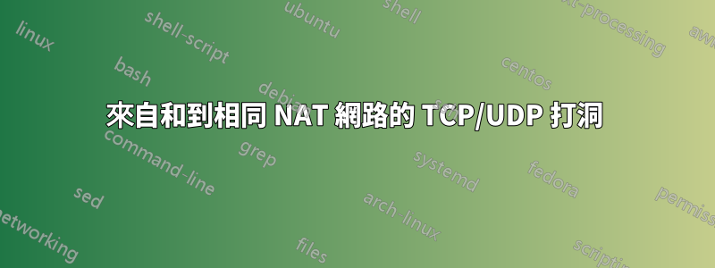 來自和到相同 NAT 網路的 TCP/UDP 打洞