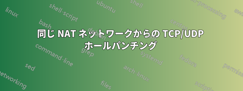 同じ NAT ネットワークからの TCP/UDP ホールパンチング